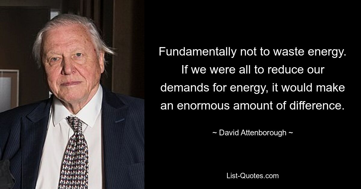 Fundamentally not to waste energy. If we were all to reduce our demands for energy, it would make an enormous amount of difference. — © David Attenborough