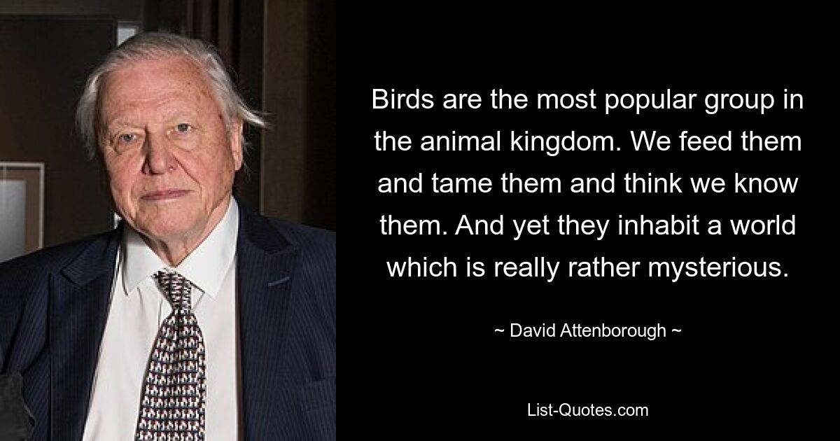 Birds are the most popular group in the animal kingdom. We feed them and tame them and think we know them. And yet they inhabit a world which is really rather mysterious. — © David Attenborough