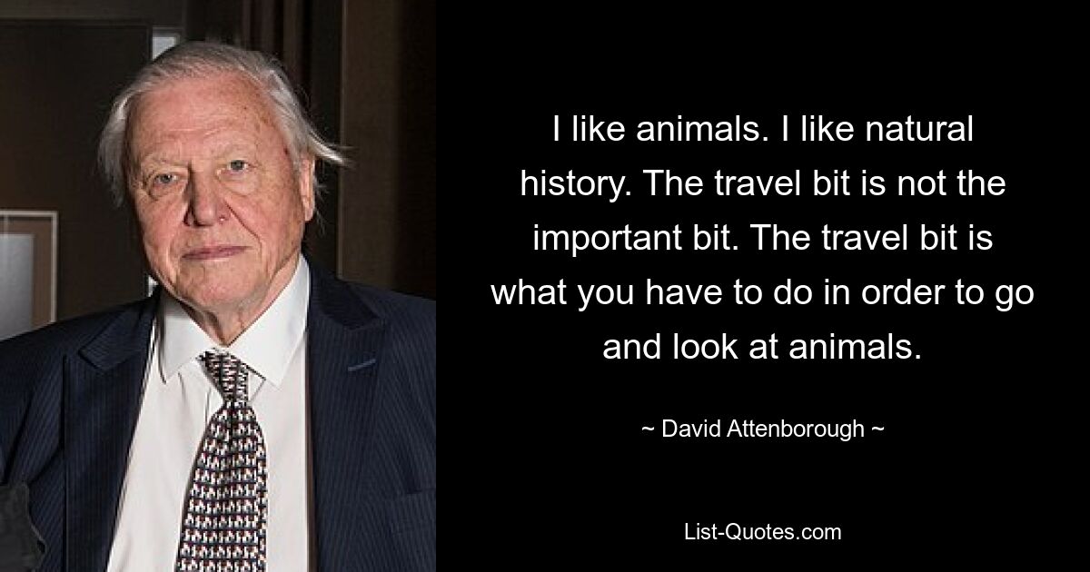 I like animals. I like natural history. The travel bit is not the important bit. The travel bit is what you have to do in order to go and look at animals. — © David Attenborough