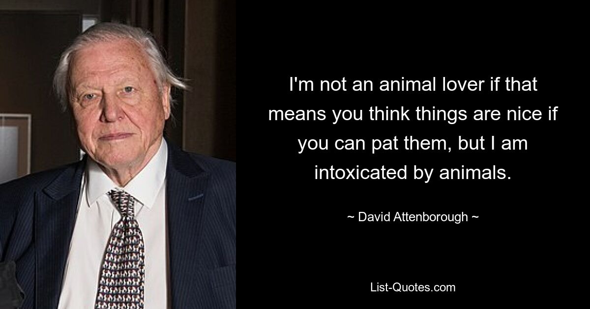 I'm not an animal lover if that means you think things are nice if you can pat them, but I am intoxicated by animals. — © David Attenborough