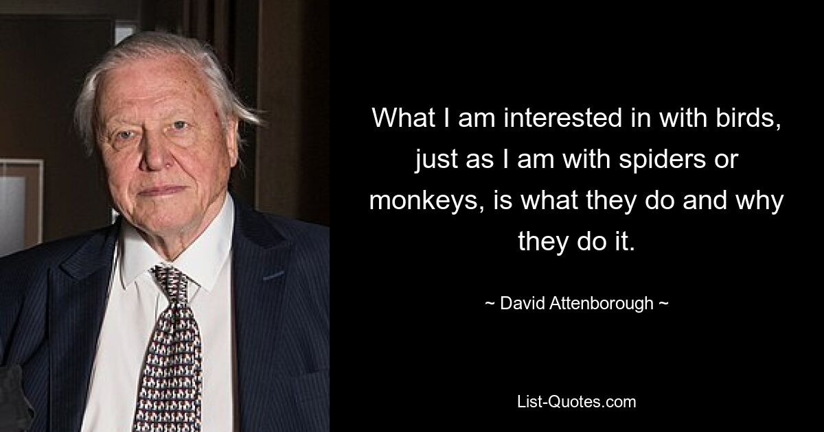 What I am interested in with birds, just as I am with spiders or monkeys, is what they do and why they do it. — © David Attenborough