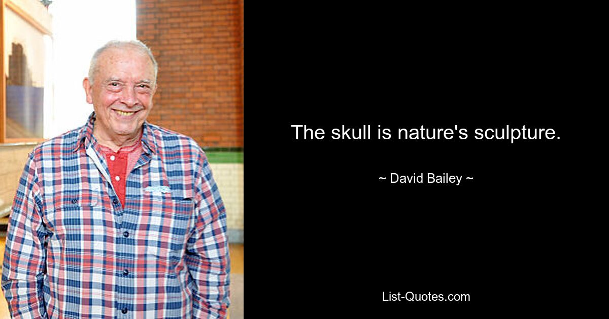 The skull is nature's sculpture. — © David Bailey