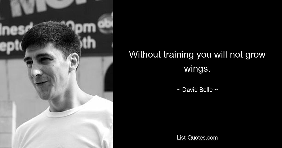 Without training you will not grow wings. — © David Belle