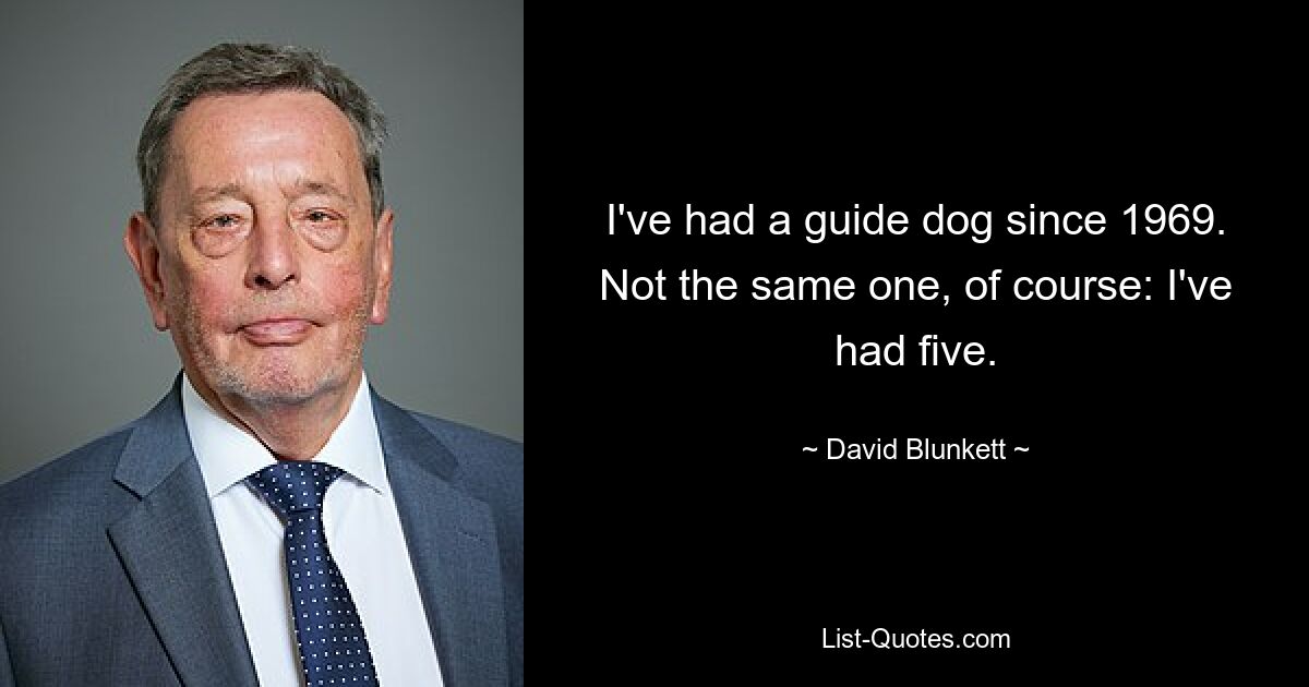 I've had a guide dog since 1969. Not the same one, of course: I've had five. — © David Blunkett