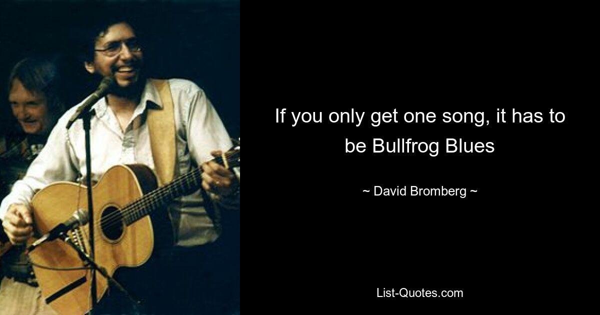 If you only get one song, it has to be Bullfrog Blues — © David Bromberg