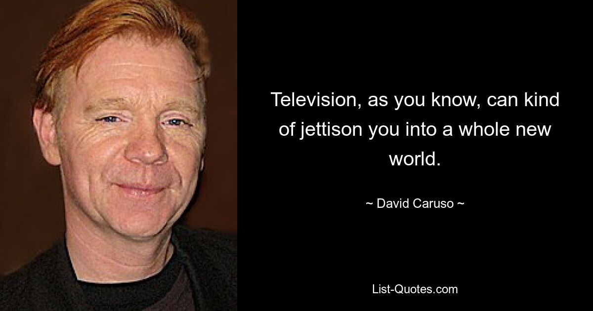 Television, as you know, can kind of jettison you into a whole new world. — © David Caruso