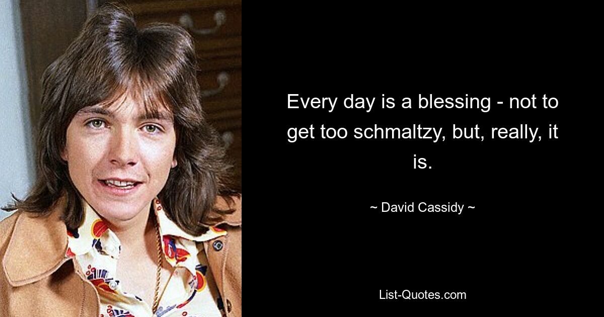 Every day is a blessing - not to get too schmaltzy, but, really, it is. — © David Cassidy