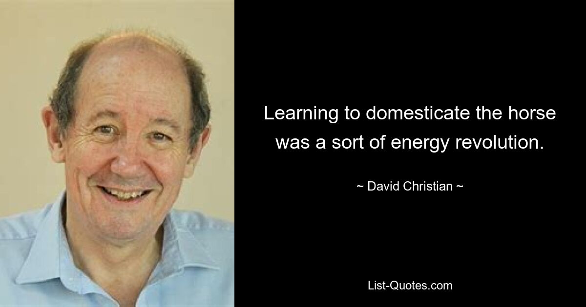 Learning to domesticate the horse was a sort of energy revolution. — © David Christian