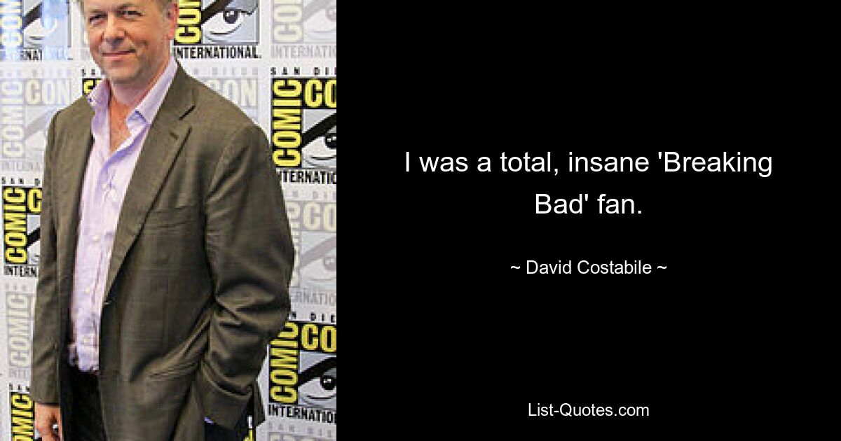 I was a total, insane 'Breaking Bad' fan. — © David Costabile