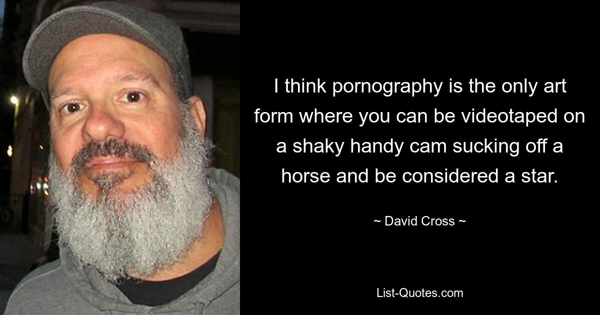 I think pornography is the only art form where you can be videotaped on a shaky handy cam sucking off a horse and be considered a star. — © David Cross