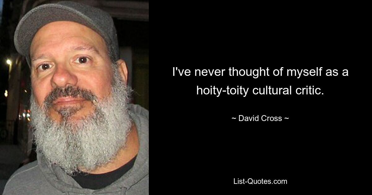 I've never thought of myself as a hoity-toity cultural critic. — © David Cross