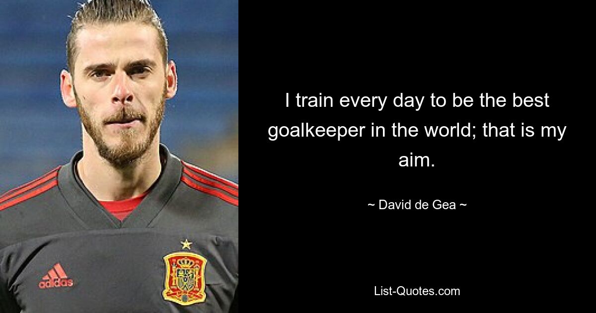 I train every day to be the best goalkeeper in the world; that is my aim. — © David de Gea