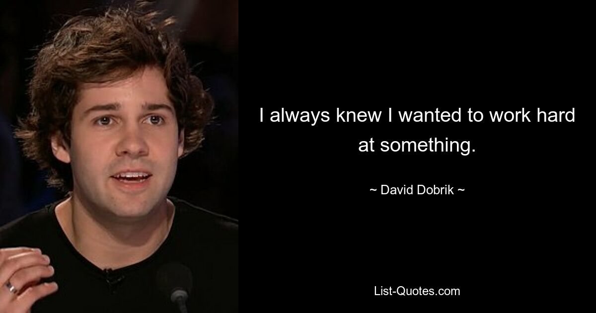 I always knew I wanted to work hard at something. — © David Dobrik