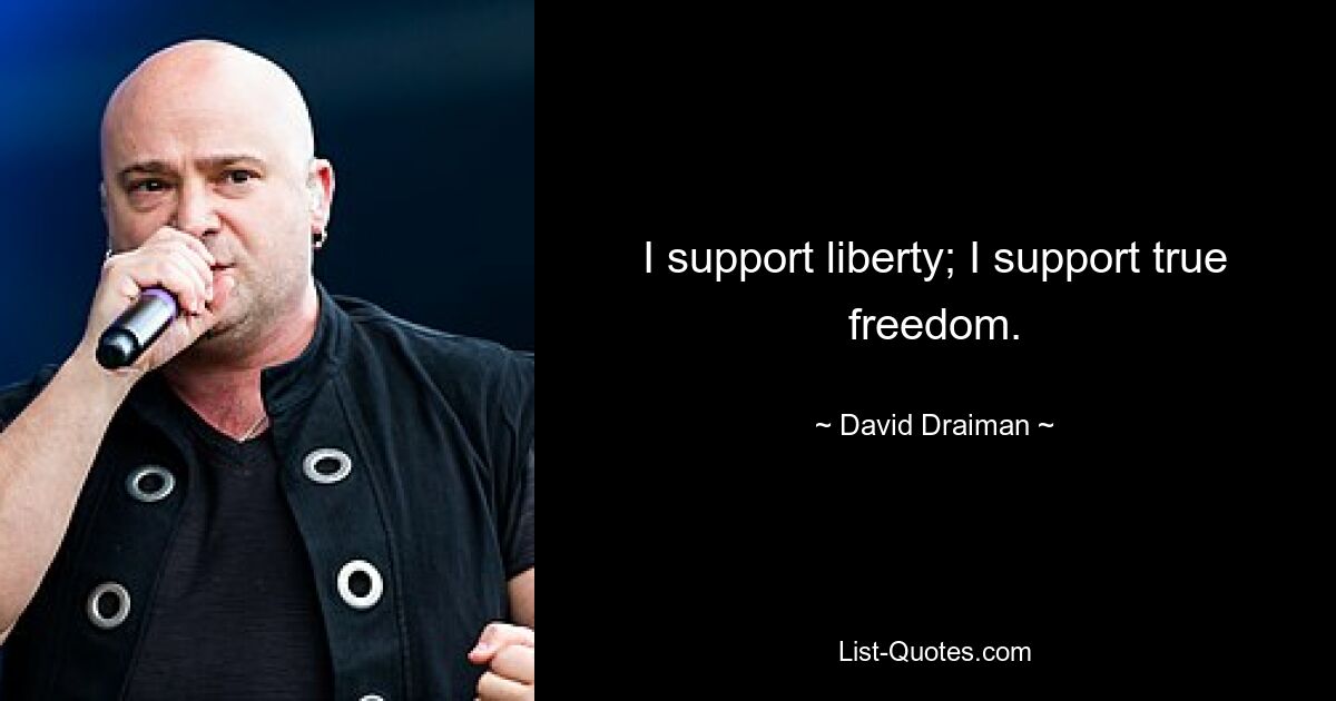 I support liberty; I support true freedom. — © David Draiman