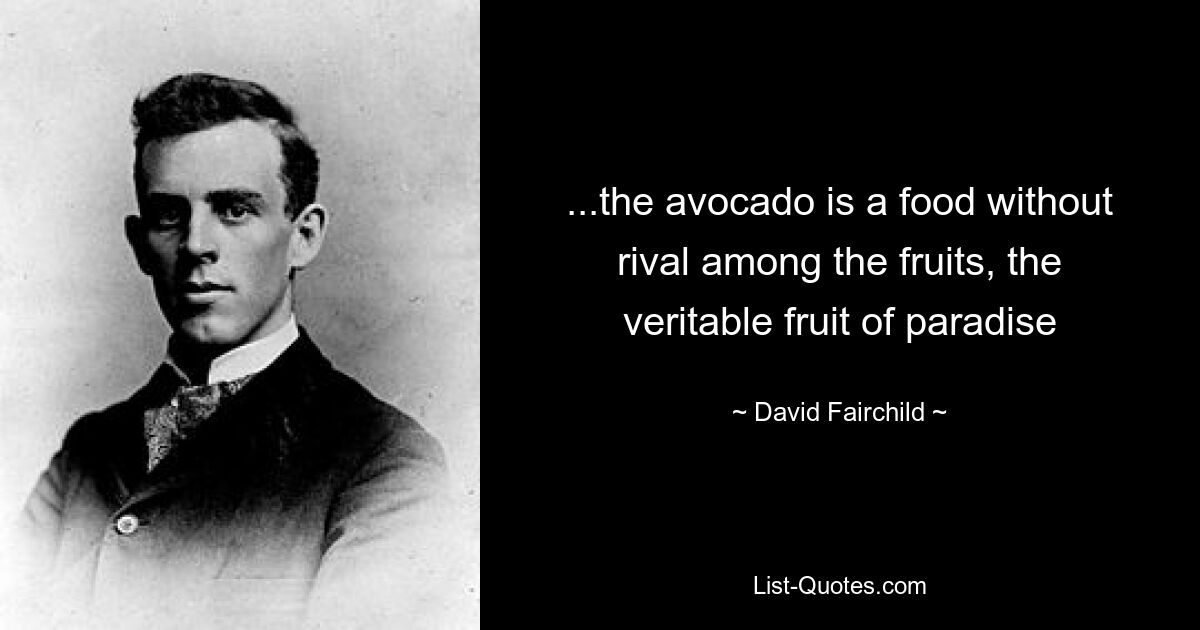 ...the avocado is a food without rival among the fruits, the veritable fruit of paradise — © David Fairchild