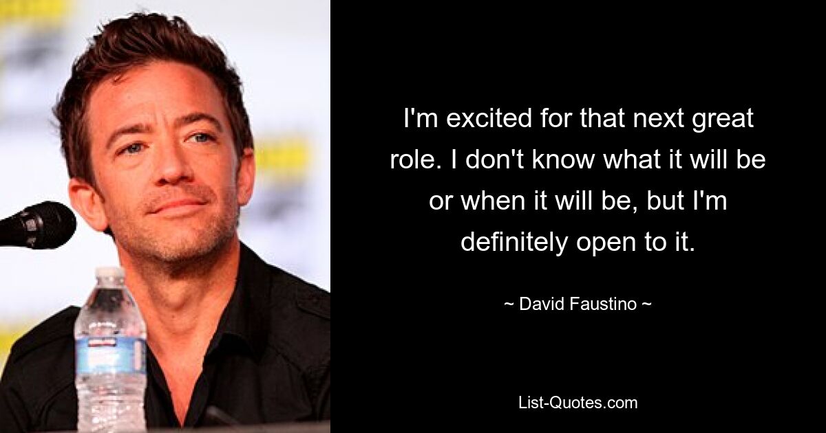 I'm excited for that next great role. I don't know what it will be or when it will be, but I'm definitely open to it. — © David Faustino