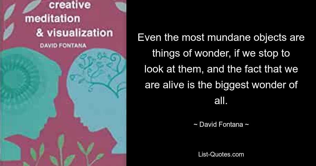 Even the most mundane objects are things of wonder, if we stop to look at them, and the fact that we are alive is the biggest wonder of all. — © David Fontana