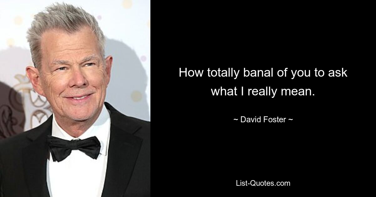 How totally banal of you to ask what I really mean. — © David Foster