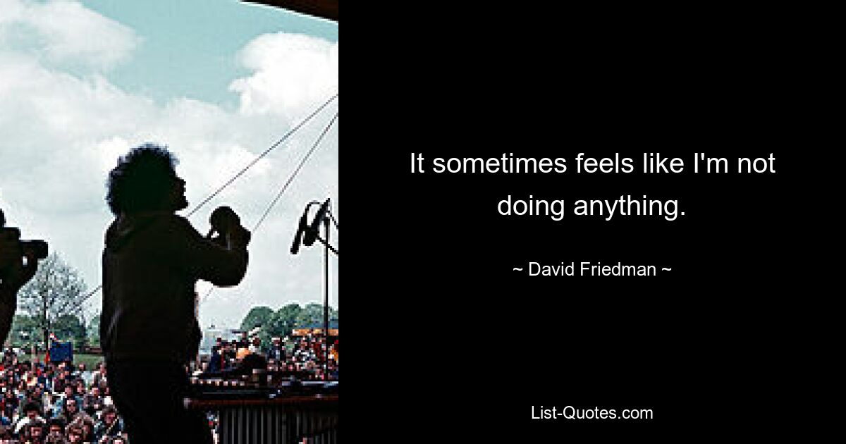 It sometimes feels like I'm not doing anything. — © David Friedman