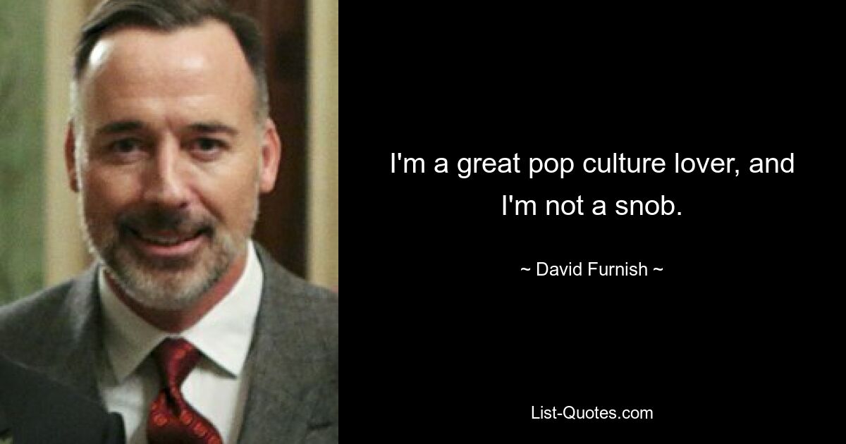 I'm a great pop culture lover, and I'm not a snob. — © David Furnish