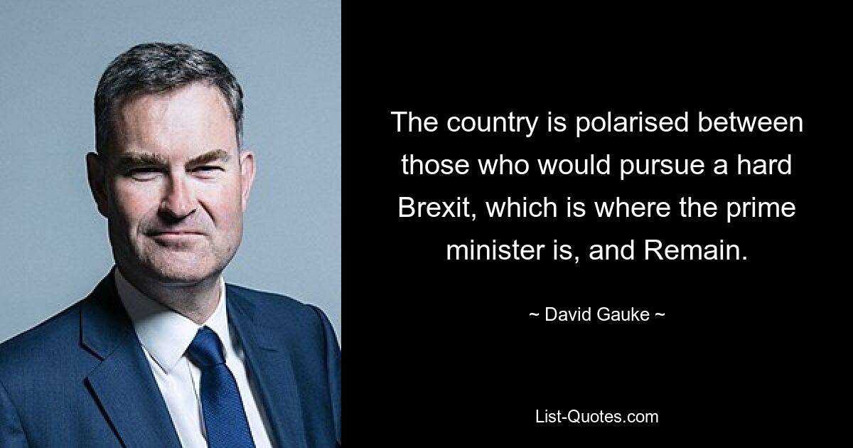 The country is polarised between those who would pursue a hard Brexit, which is where the prime minister is, and Remain. — © David Gauke