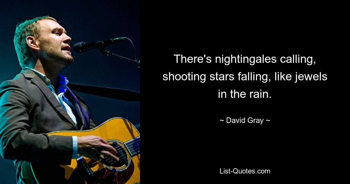 There's nightingales calling, shooting stars falling, like jewels in the rain. — © David Gray