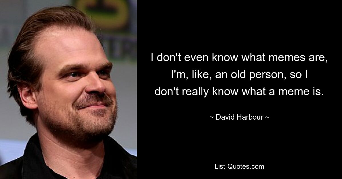 I don't even know what memes are, I'm, like, an old person, so I don't really know what a meme is. — © David Harbour