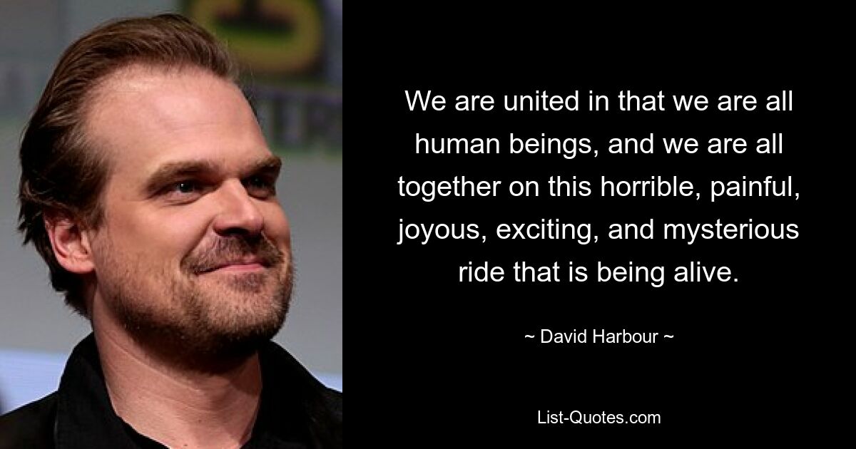 We are united in that we are all human beings, and we are all together on this horrible, painful, joyous, exciting, and mysterious ride that is being alive. — © David Harbour