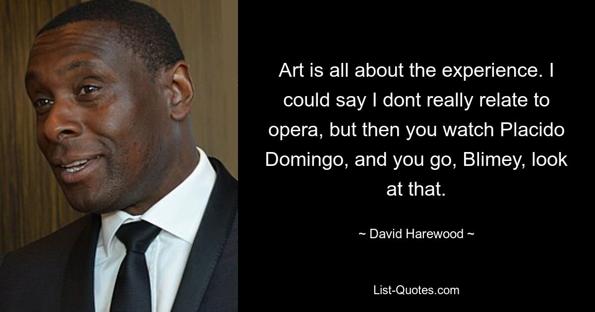 Art is all about the experience. I could say I dont really relate to opera, but then you watch Placido Domingo, and you go, Blimey, look at that. — © David Harewood