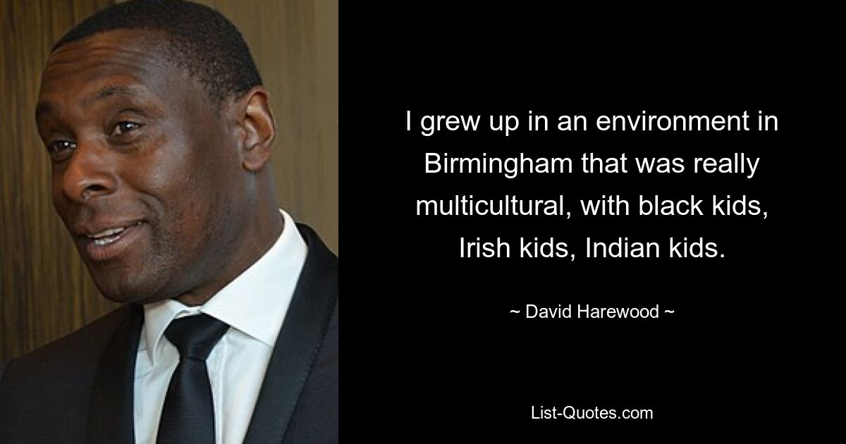 I grew up in an environment in Birmingham that was really multicultural, with black kids, Irish kids, Indian kids. — © David Harewood