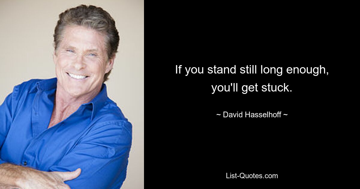 If you stand still long enough, you'll get stuck. — © David Hasselhoff