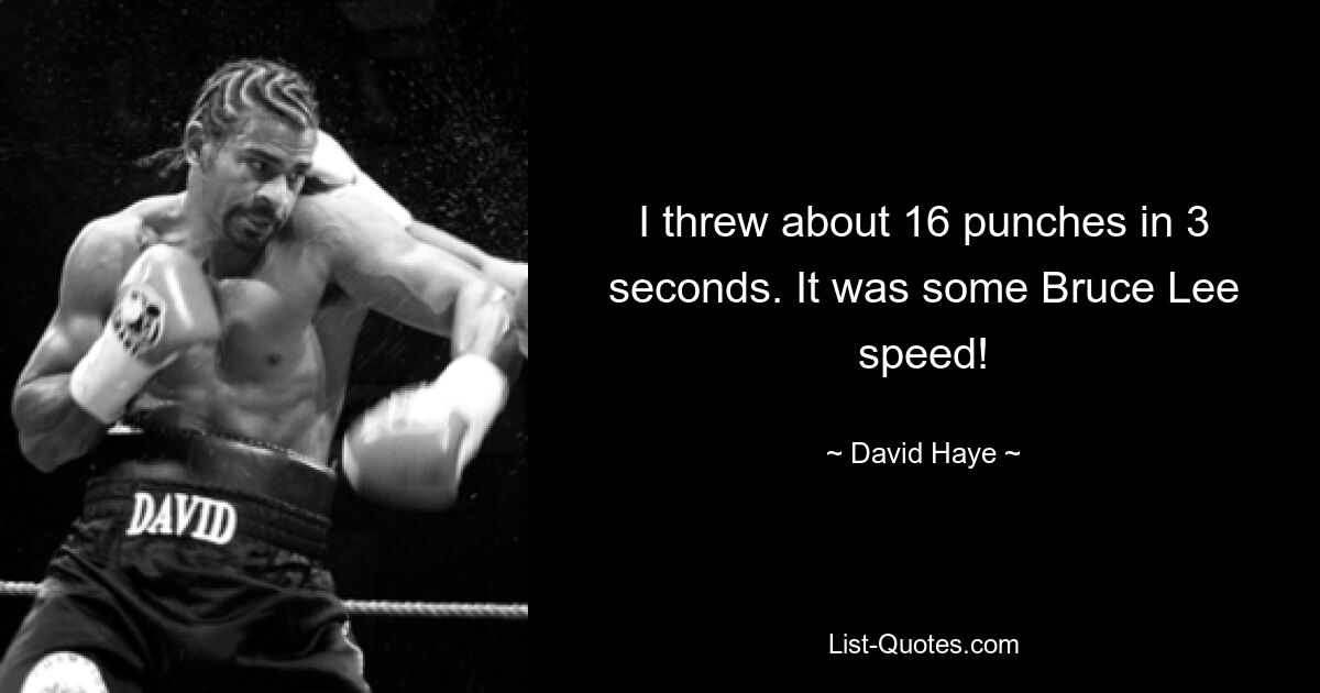 I threw about 16 punches in 3 seconds. It was some Bruce Lee speed! — © David Haye