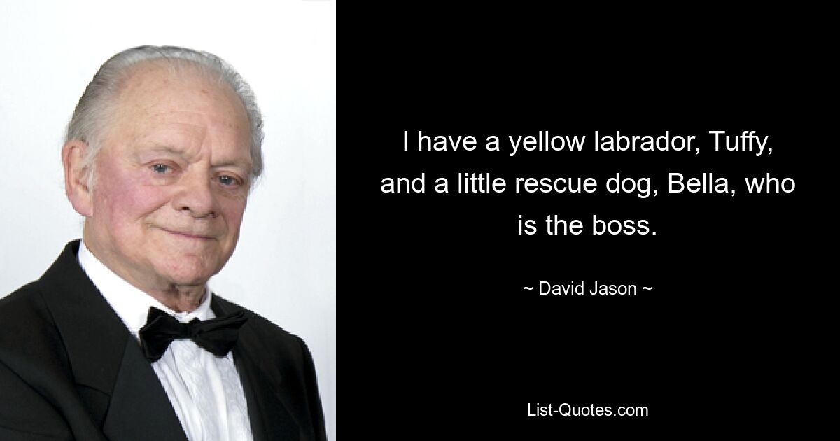 I have a yellow labrador, Tuffy, and a little rescue dog, Bella, who is the boss. — © David Jason