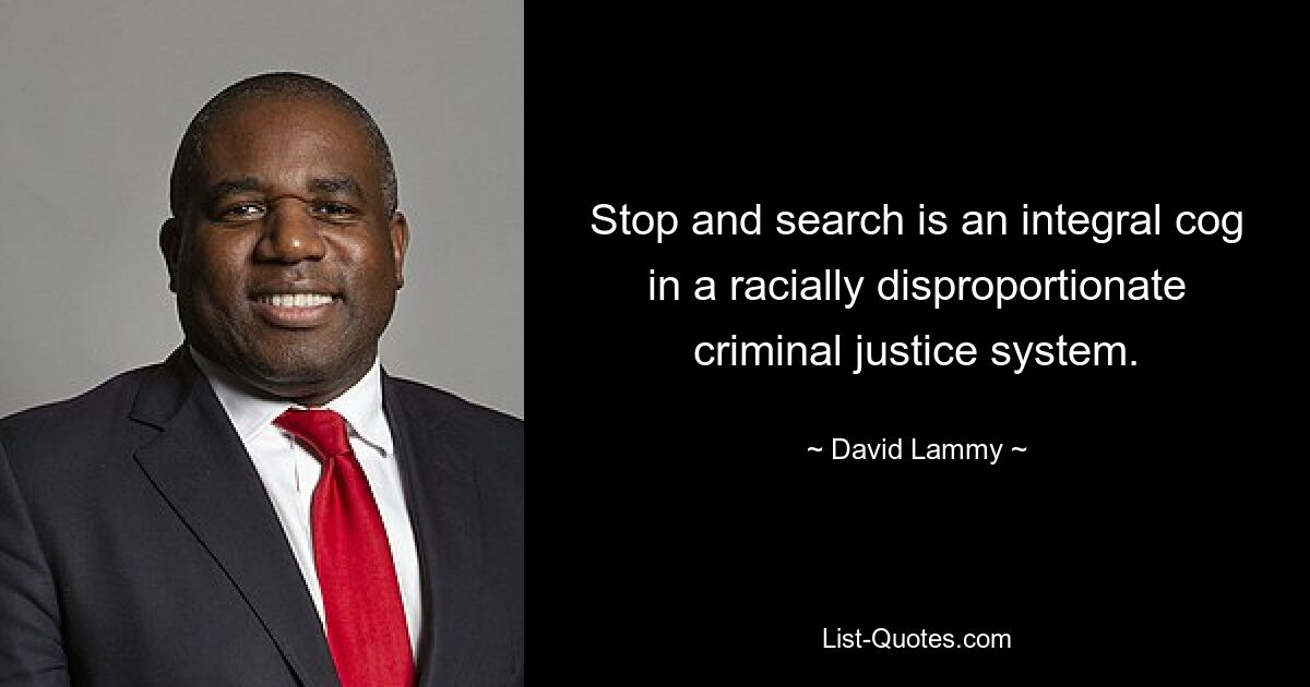 Stop and search is an integral cog in a racially disproportionate criminal justice system. — © David Lammy