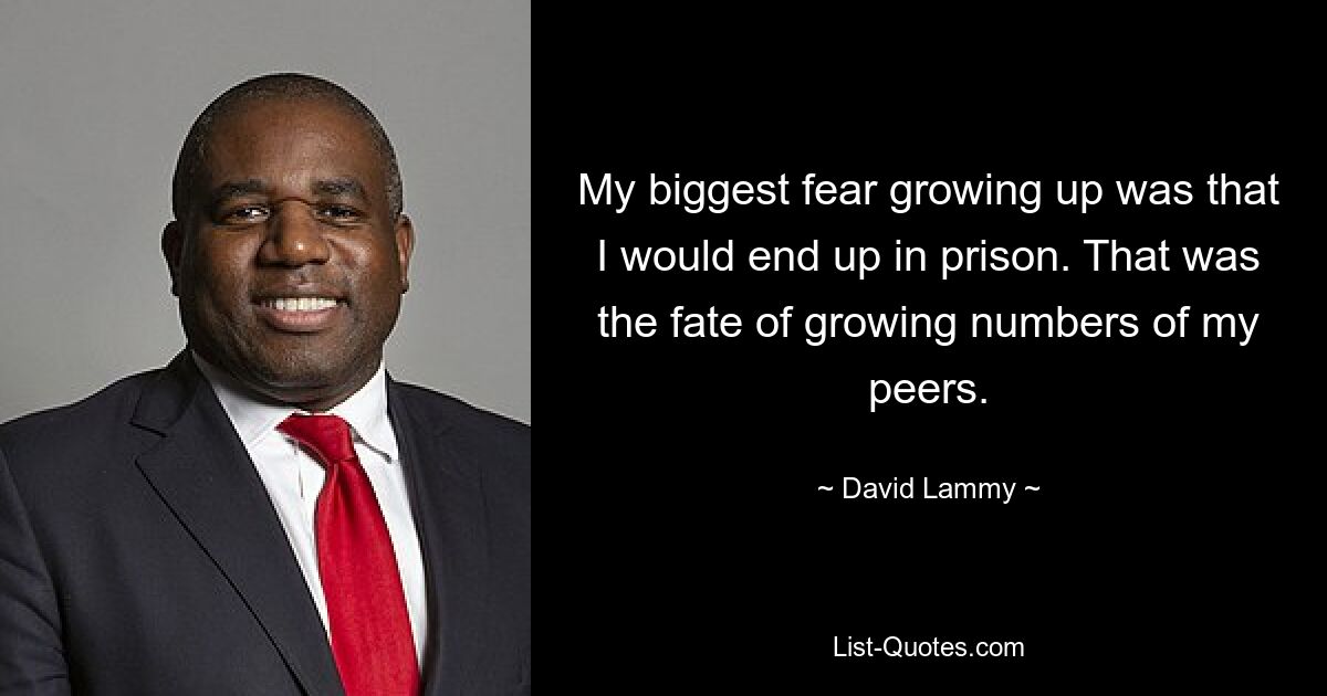 My biggest fear growing up was that I would end up in prison. That was the fate of growing numbers of my peers. — © David Lammy