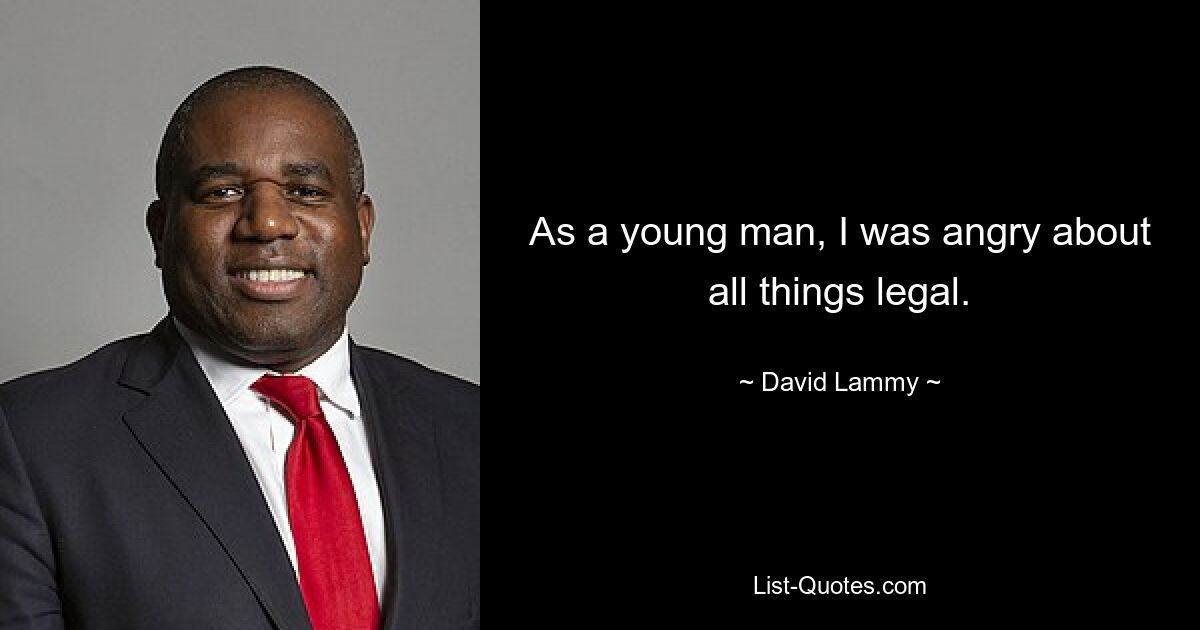 As a young man, I was angry about all things legal. — © David Lammy