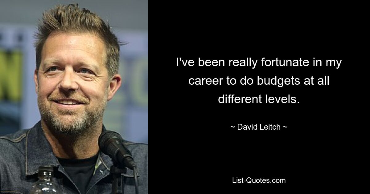 I've been really fortunate in my career to do budgets at all different levels. — © David Leitch