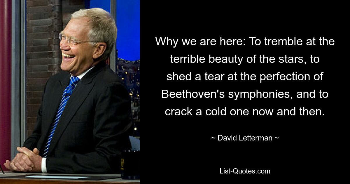 Why we are here: To tremble at the terrible beauty of the stars, to shed a tear at the perfection of Beethoven's symphonies, and to crack a cold one now and then. — © David Letterman