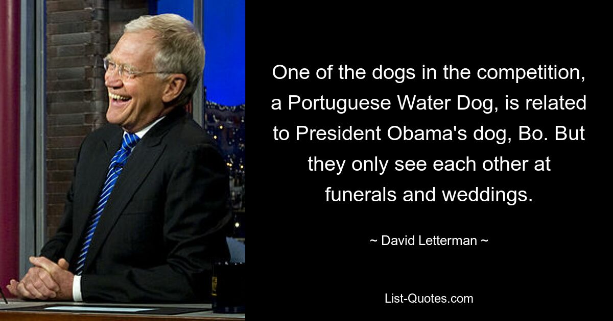 One of the dogs in the competition, a Portuguese Water Dog, is related to President Obama's dog, Bo. But they only see each other at funerals and weddings. — © David Letterman