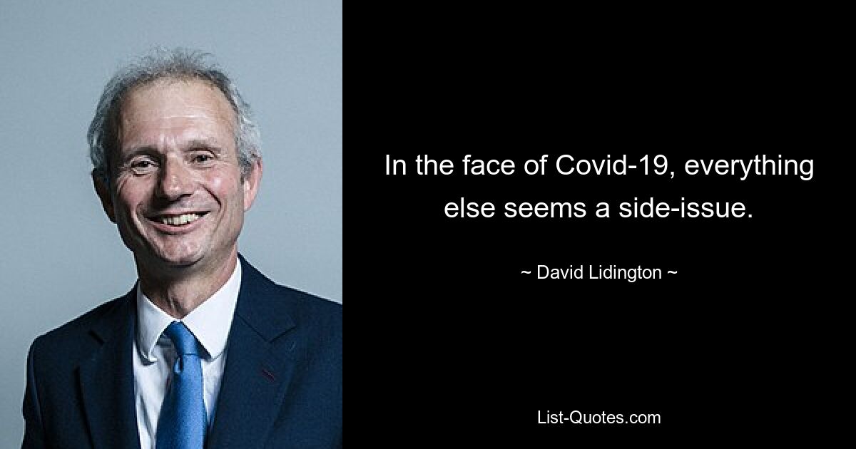 In the face of Covid-19, everything else seems a side-issue. — © David Lidington