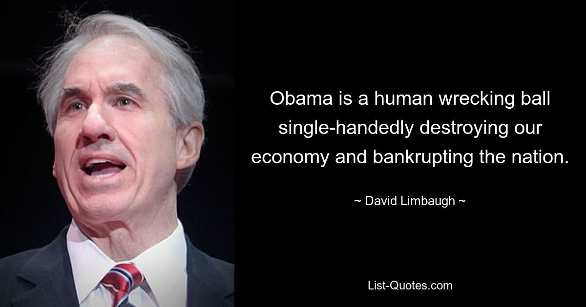 Obama is a human wrecking ball single-handedly destroying our economy and bankrupting the nation. — © David Limbaugh