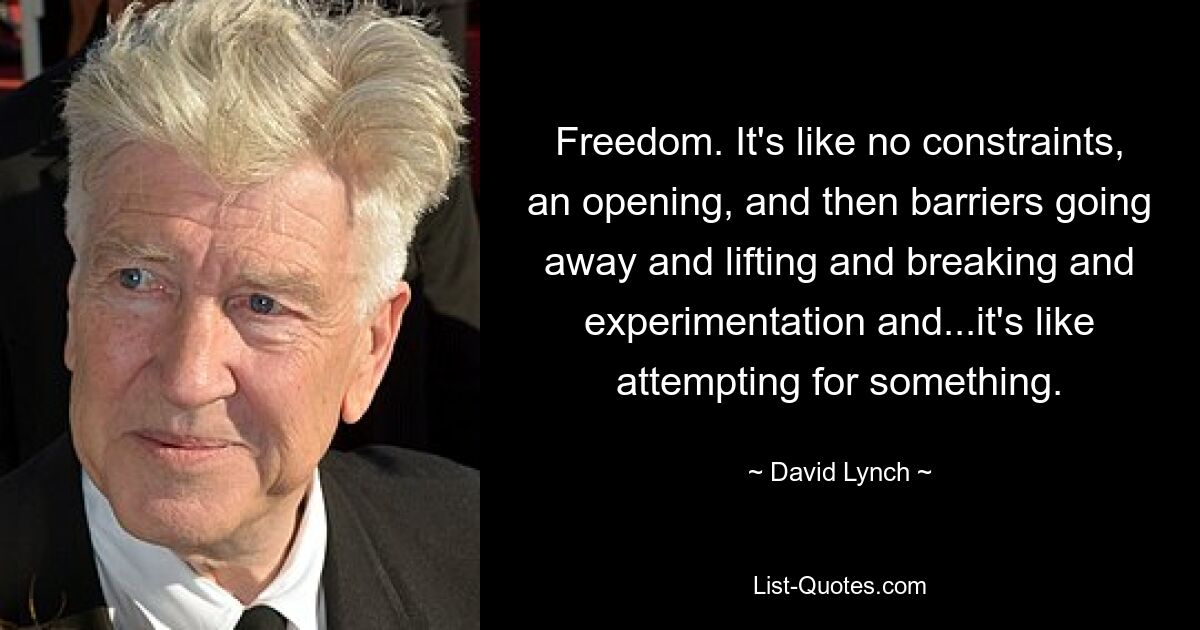 Freedom. It's like no constraints, an opening, and then barriers going away and lifting and breaking and experimentation and...it's like attempting for something. — © David Lynch