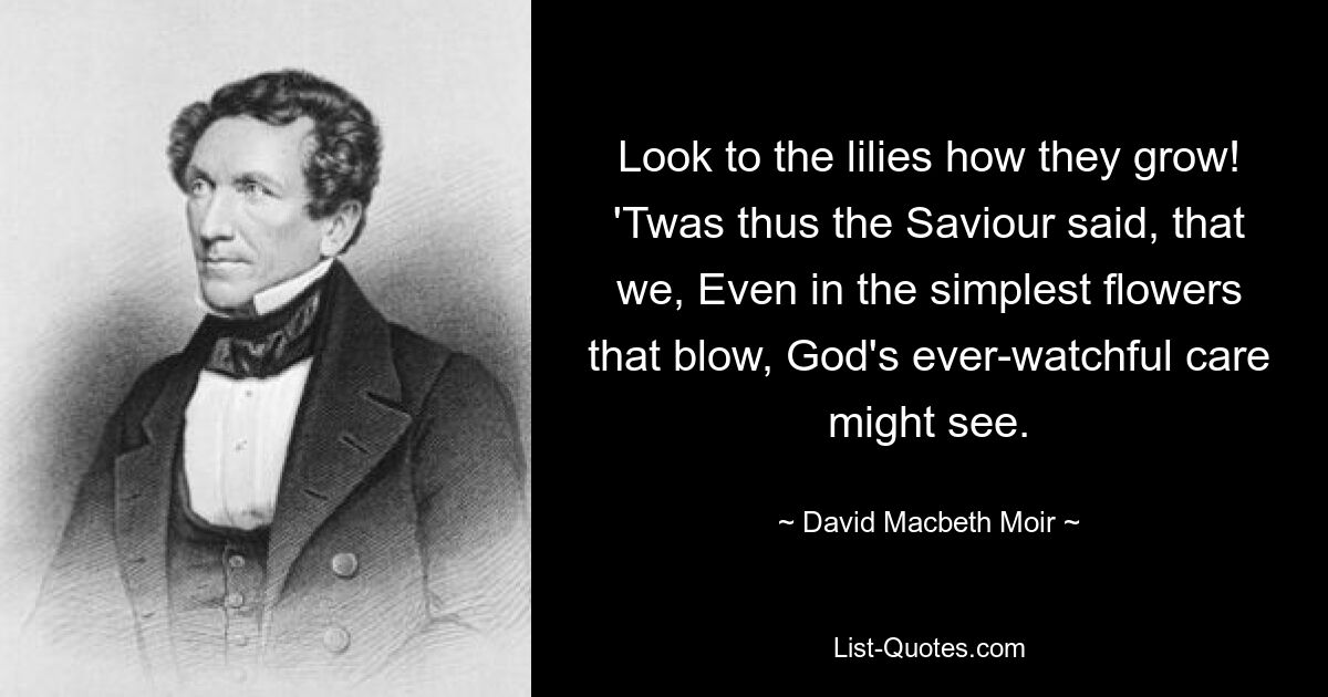 Look to the lilies how they grow! 'Twas thus the Saviour said, that we, Even in the simplest flowers that blow, God's ever-watchful care might see. — © David Macbeth Moir