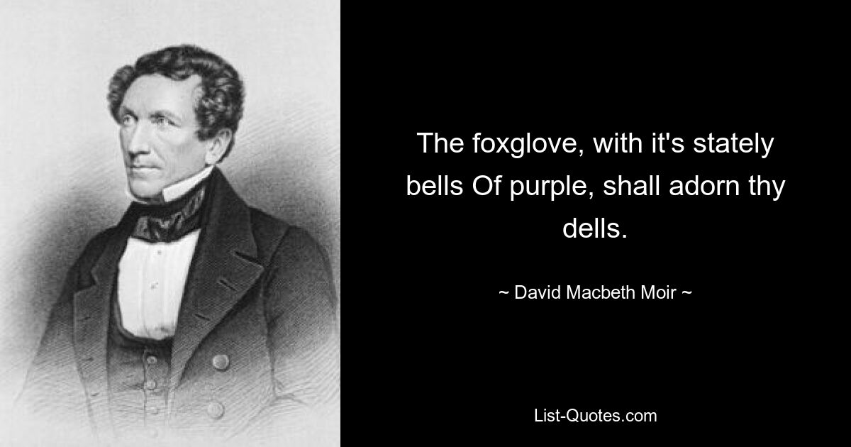 The foxglove, with it's stately bells Of purple, shall adorn thy dells. — © David Macbeth Moir