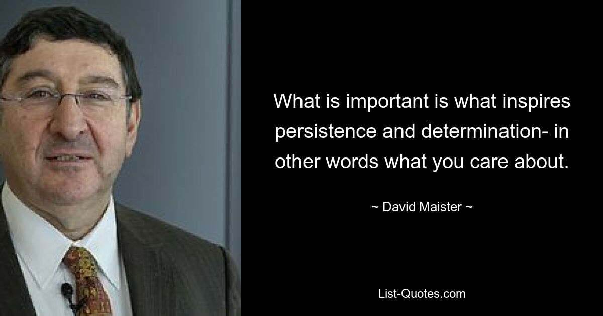 What is important is what inspires persistence and determination- in other words what you care about. — © David Maister