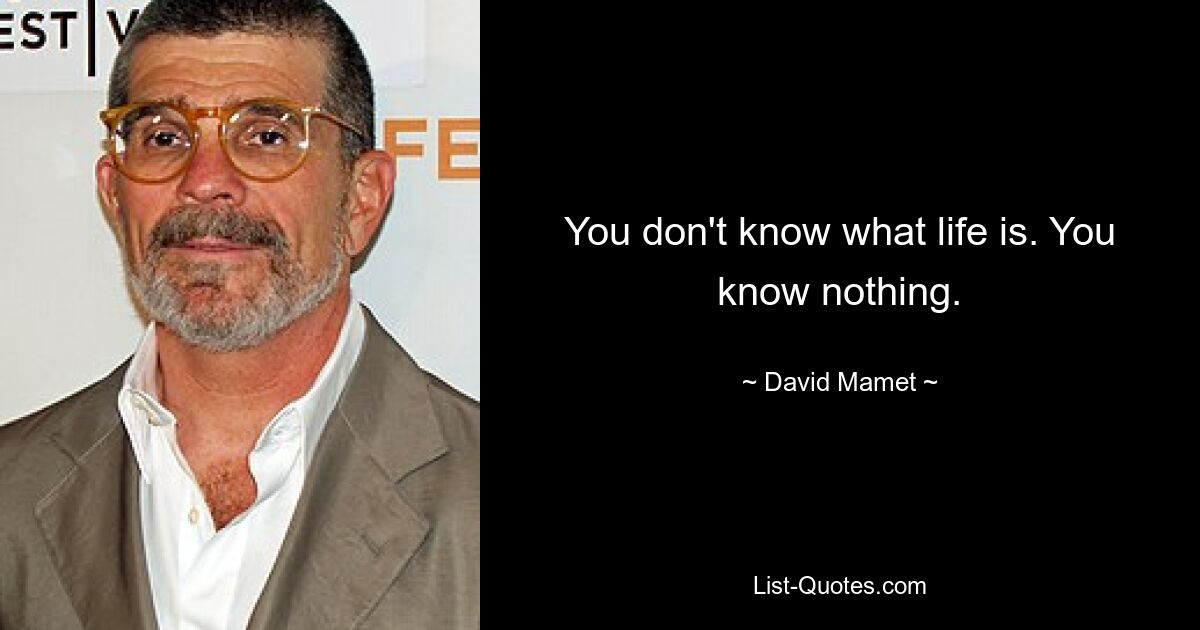 You don't know what life is. You know nothing. — © David Mamet