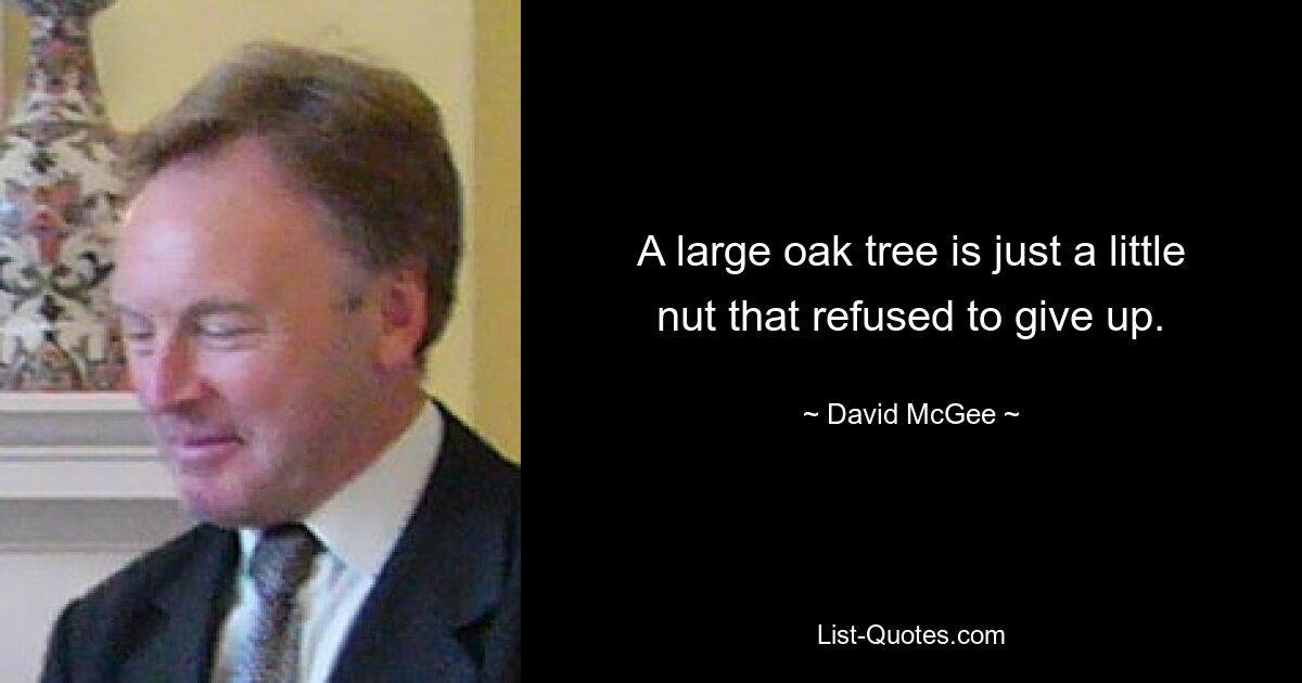 A large oak tree is just a little nut that refused to give up. — © David McGee