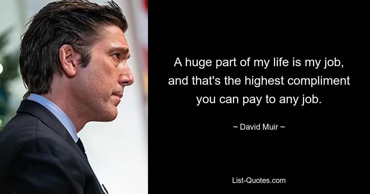 A huge part of my life is my job, and that's the highest compliment you can pay to any job. — © David Muir