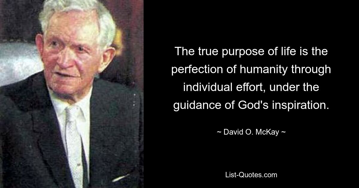 The true purpose of life is the perfection of humanity through individual effort, under the guidance of God's inspiration. — © David O. McKay