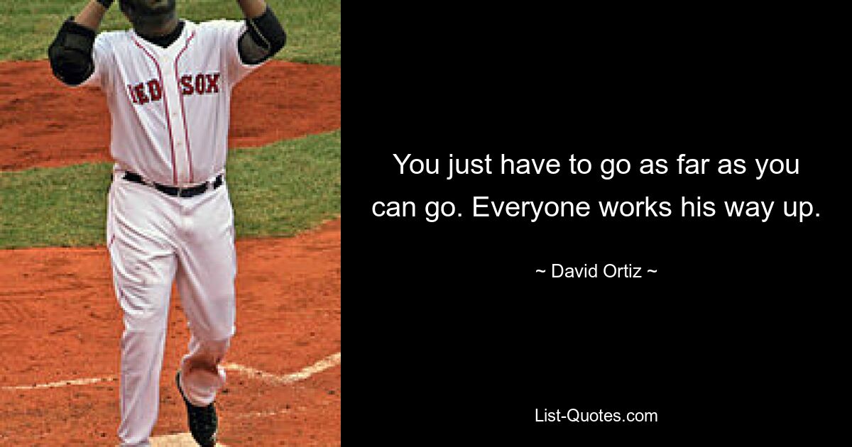 You just have to go as far as you can go. Everyone works his way up. — © David Ortiz